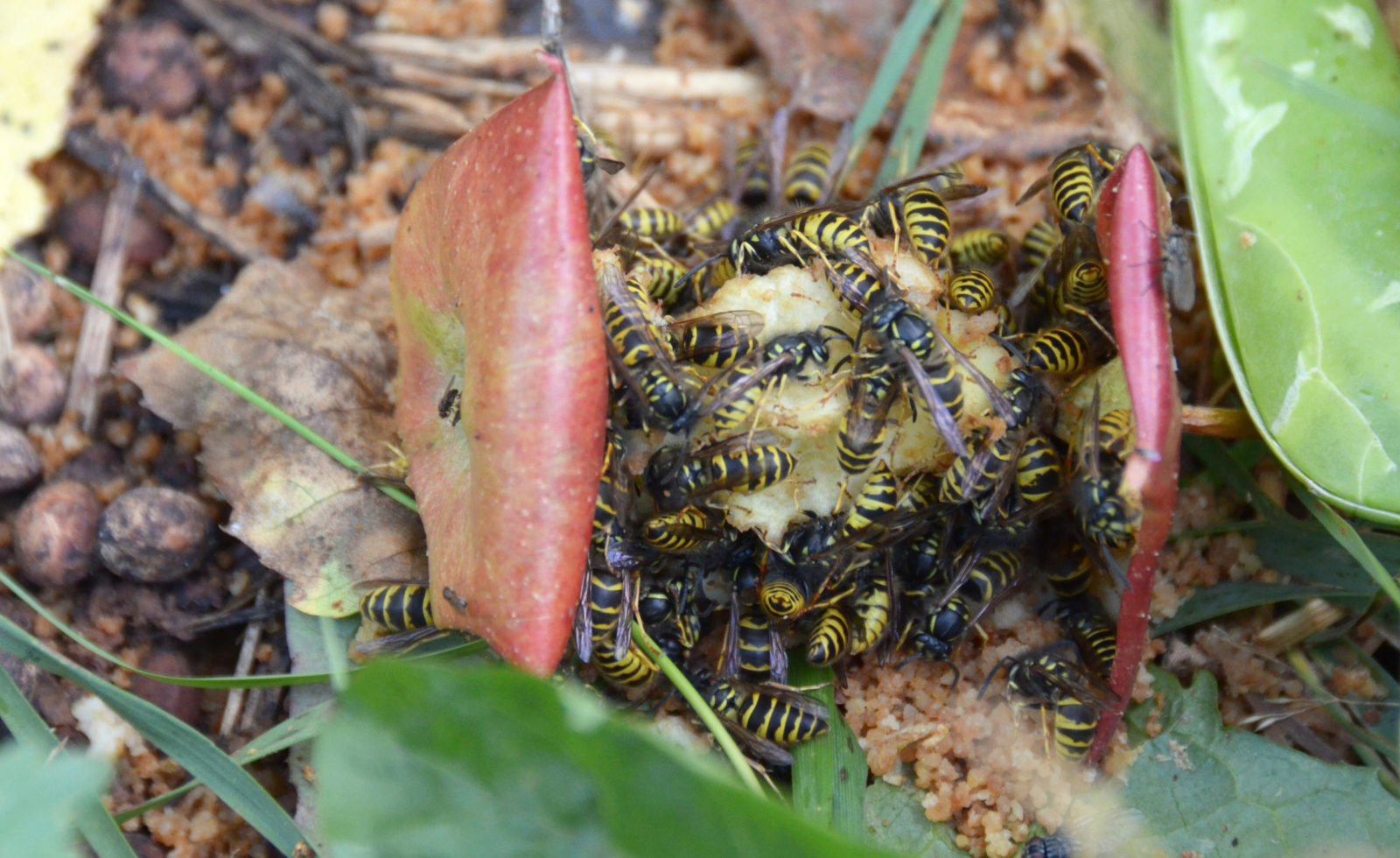 Valokuvaaja: Joni Sundström