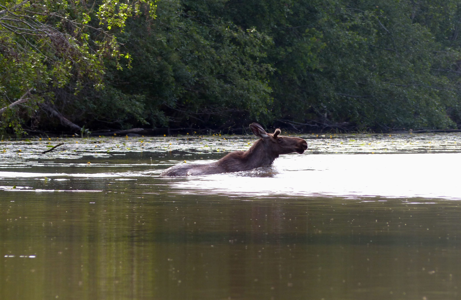 Valokuvaaja: Maarit Laakkonen