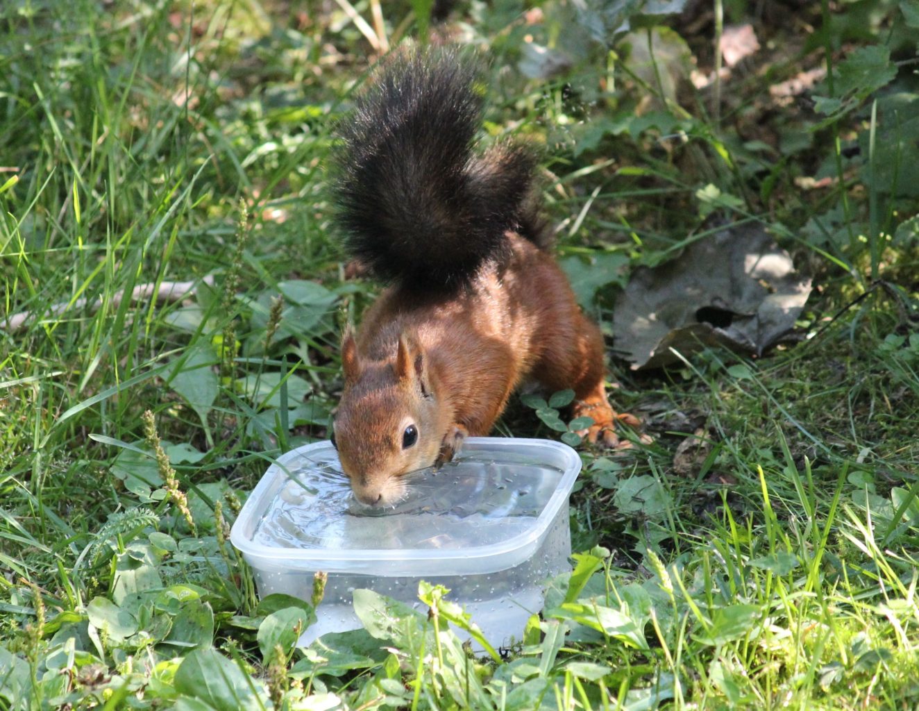 Valokuvaaja: Tuula Vilva