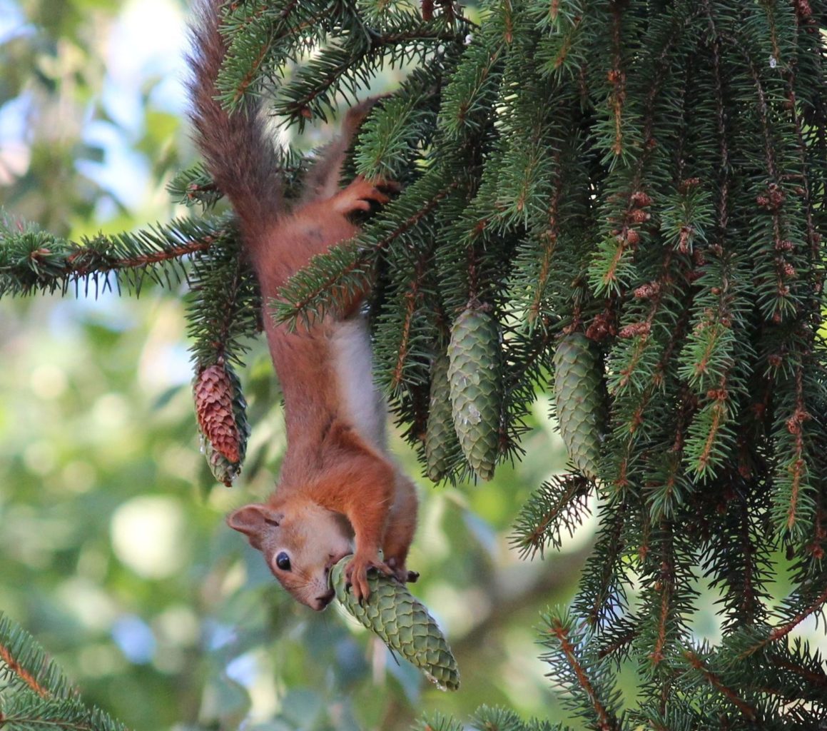 Valokuvaaja: Tuula Vilva