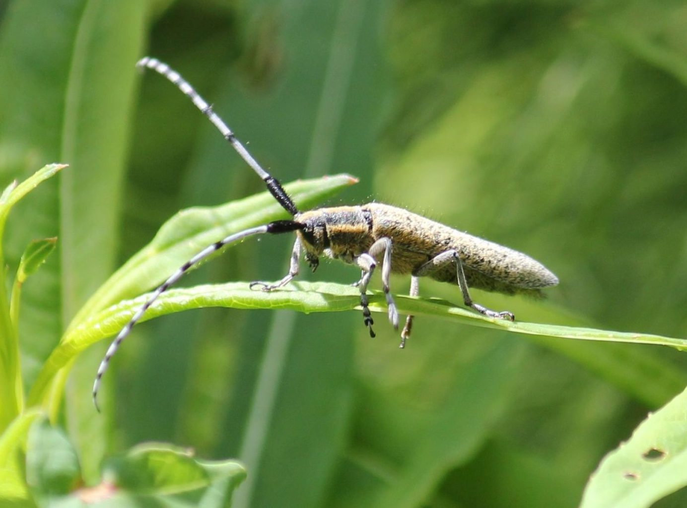 Valokuvaaja: Tuula Vilva