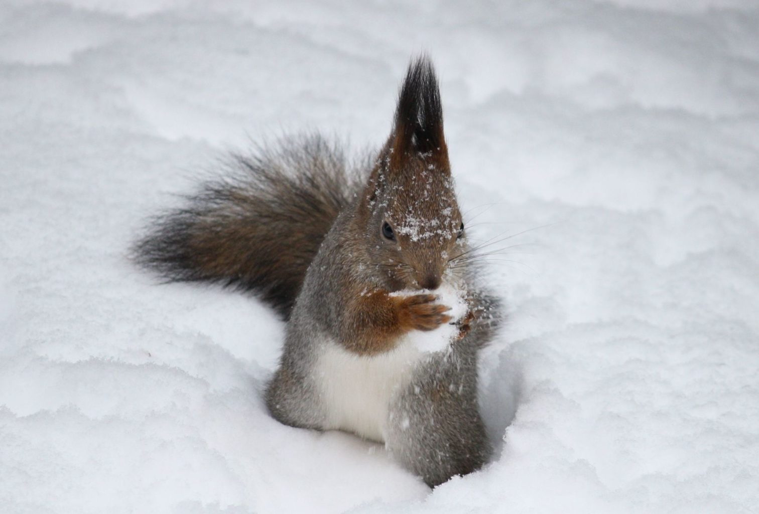 Valokuvaaja: Tuula Vilva