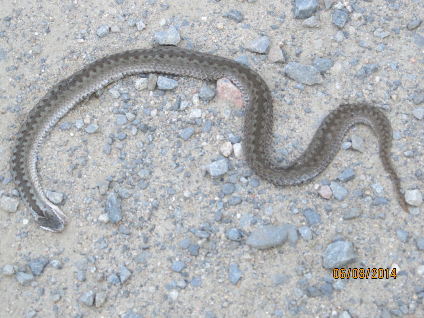 Valokuvaaja: Tuula Makkonen