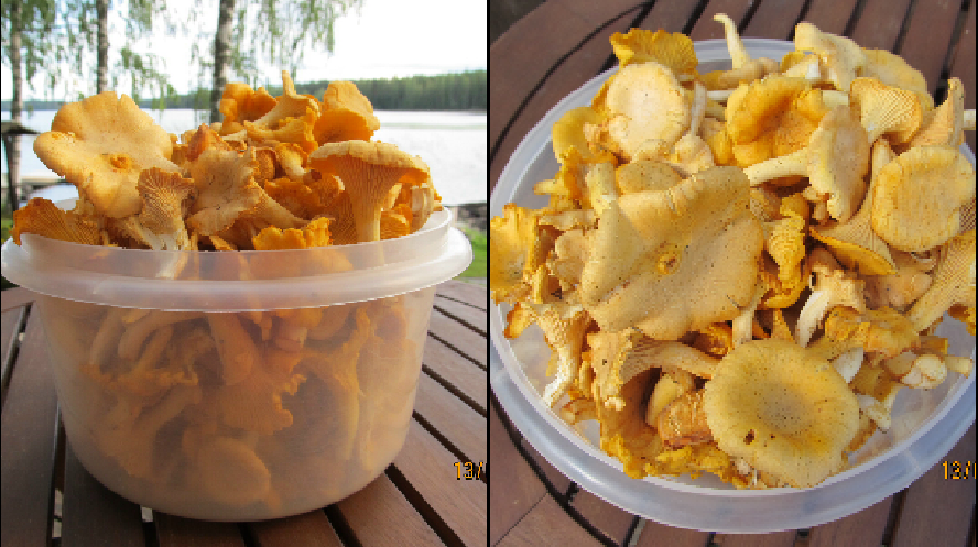 Valokuvaaja: Tuula Makkonen