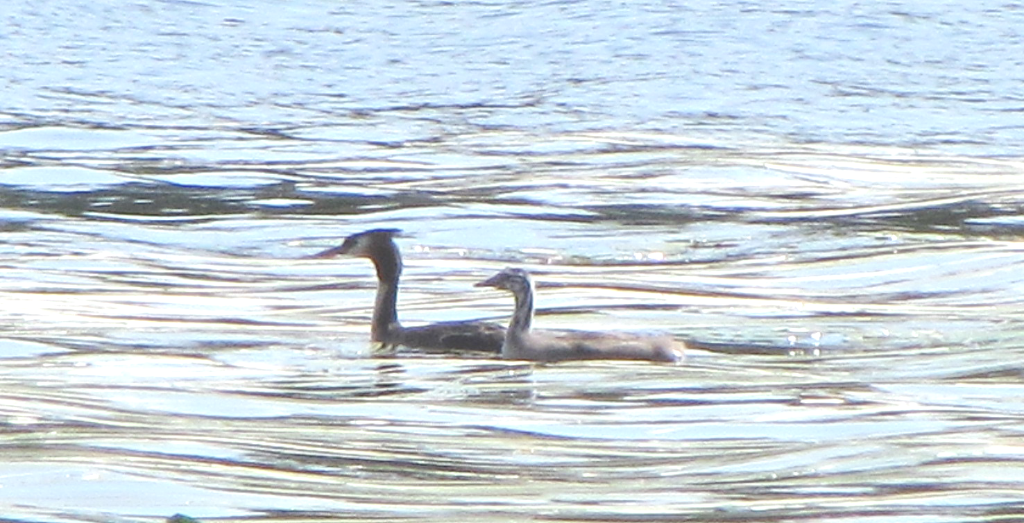 Valokuvaaja: Tuula Makkonen