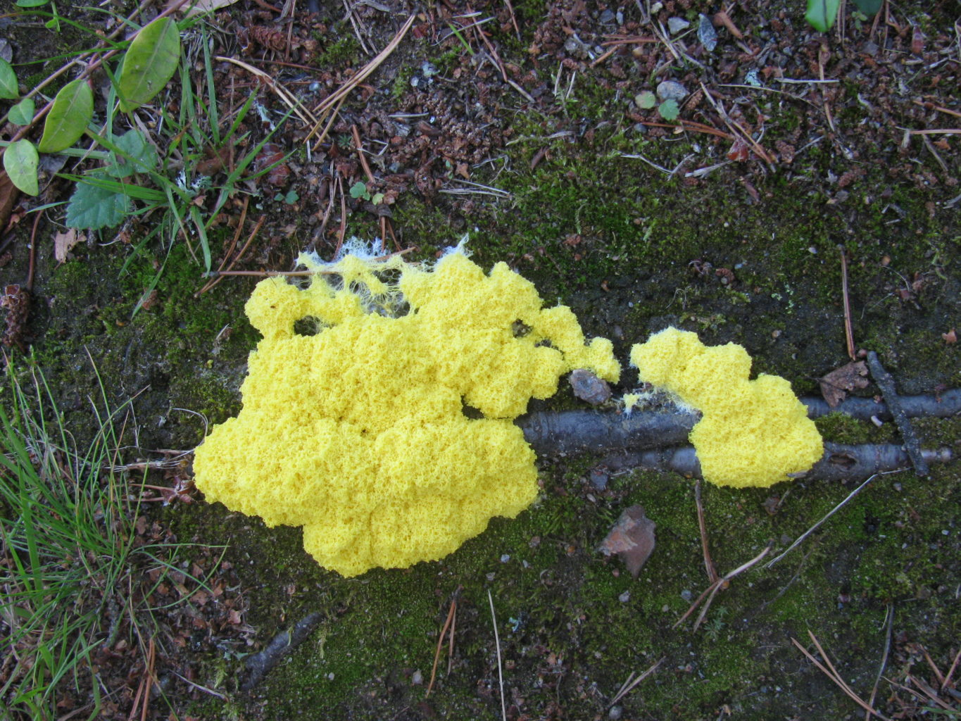 Valokuvaaja: riitta isosalo