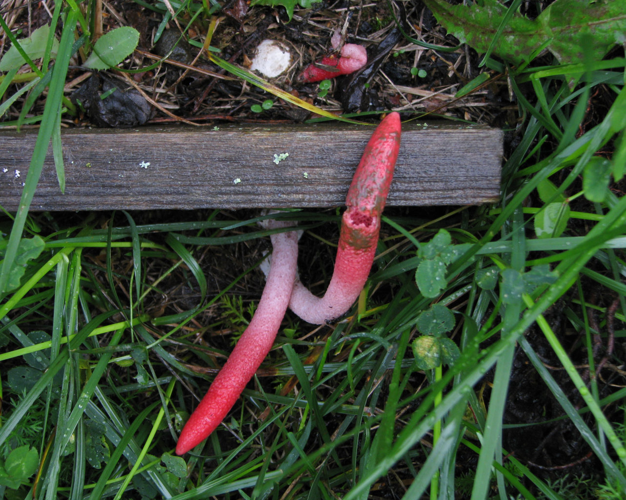 Valokuvaaja: Arja Illman Valokuvaaja: Arja Illman