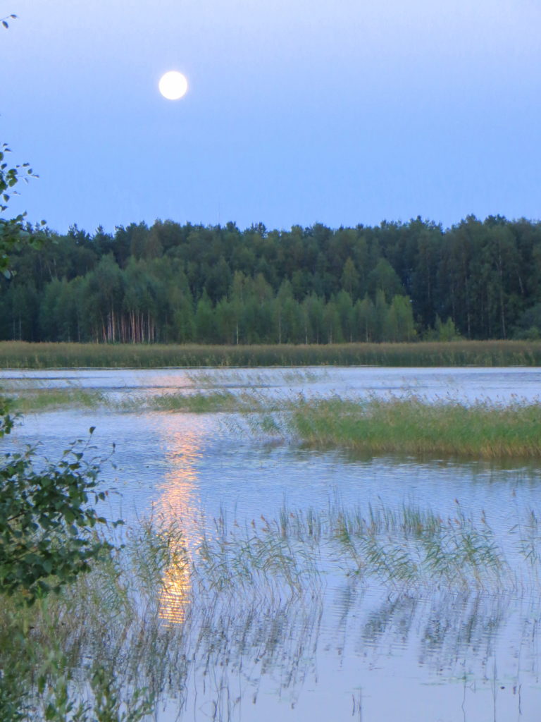 Valokuvaaja: Sirkka Ruotoistenmäki