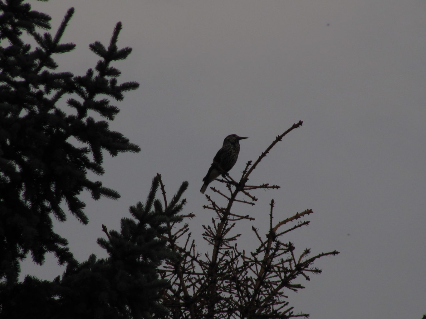 Valokuvaaja: Henrietta Järvisalo