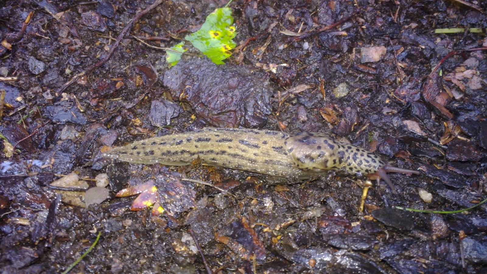 Valokuvaaja: Marjo Lehtinen