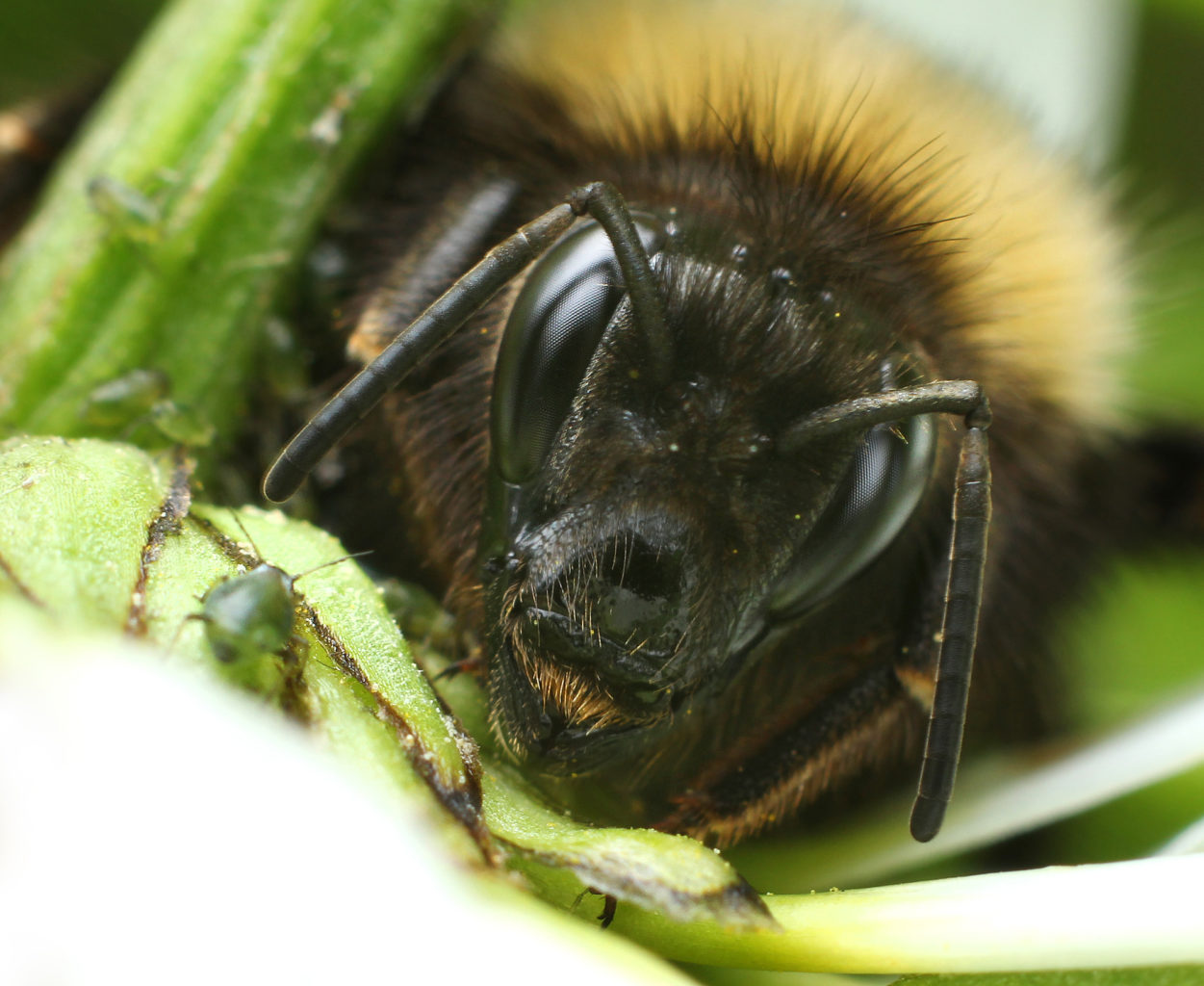 Valokuvaaja: Tarja Porkkala