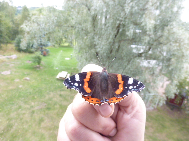 Valokuvaaja: Matti Karplund