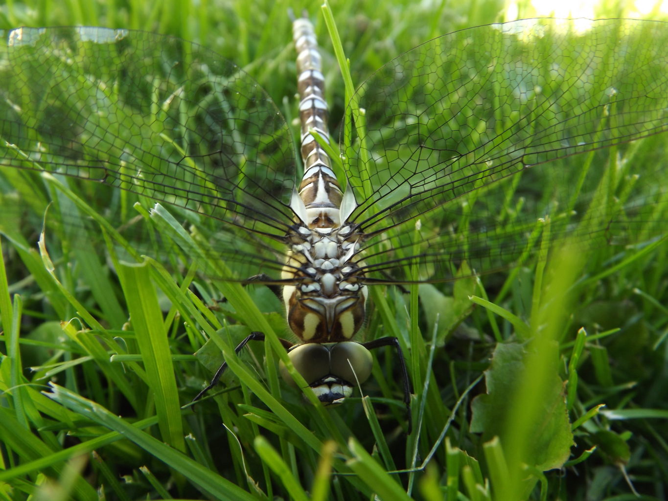 Valokuvaaja: Marianna Parkkonen