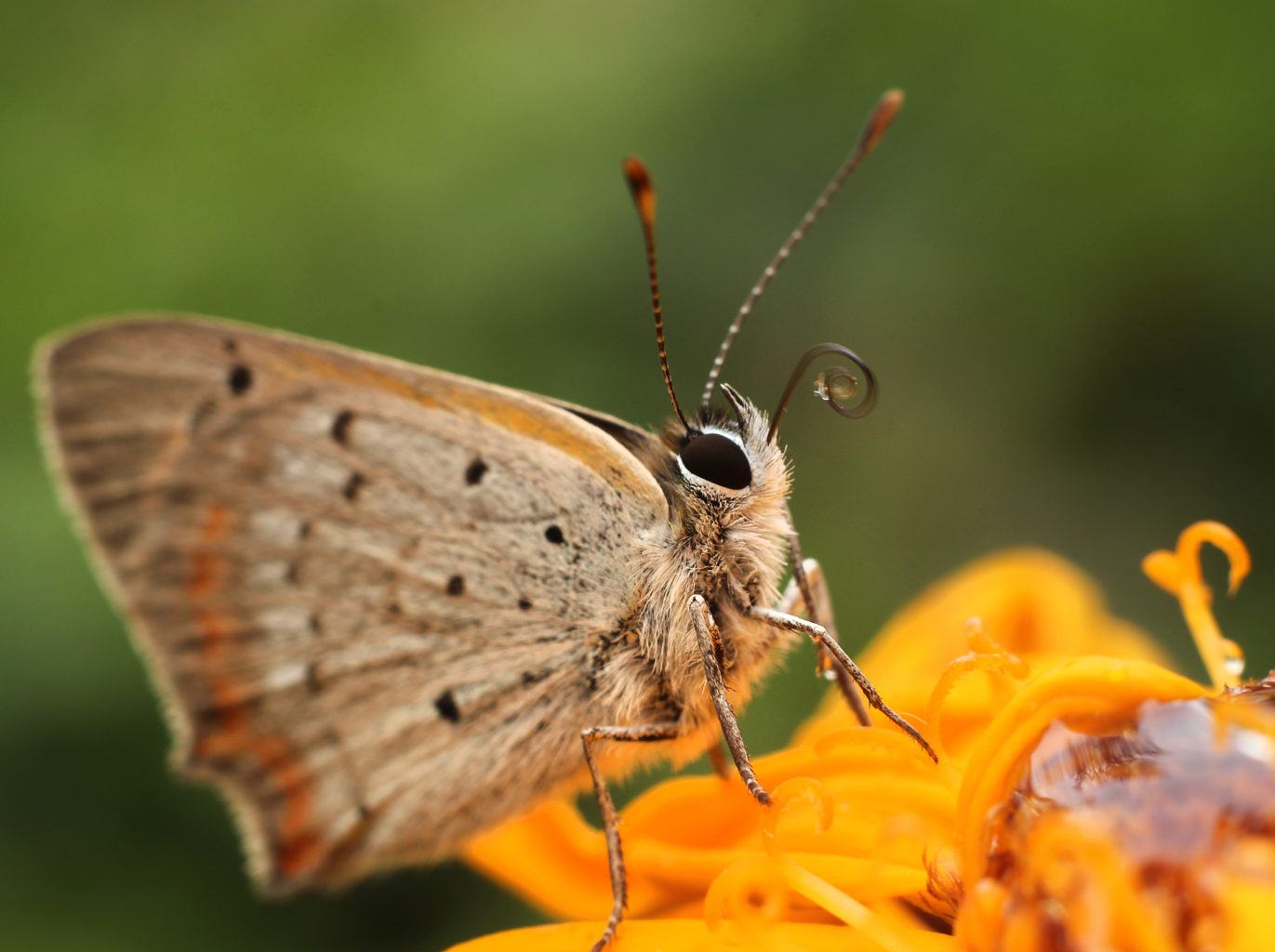 Valokuvaaja: Tarja Porkkala