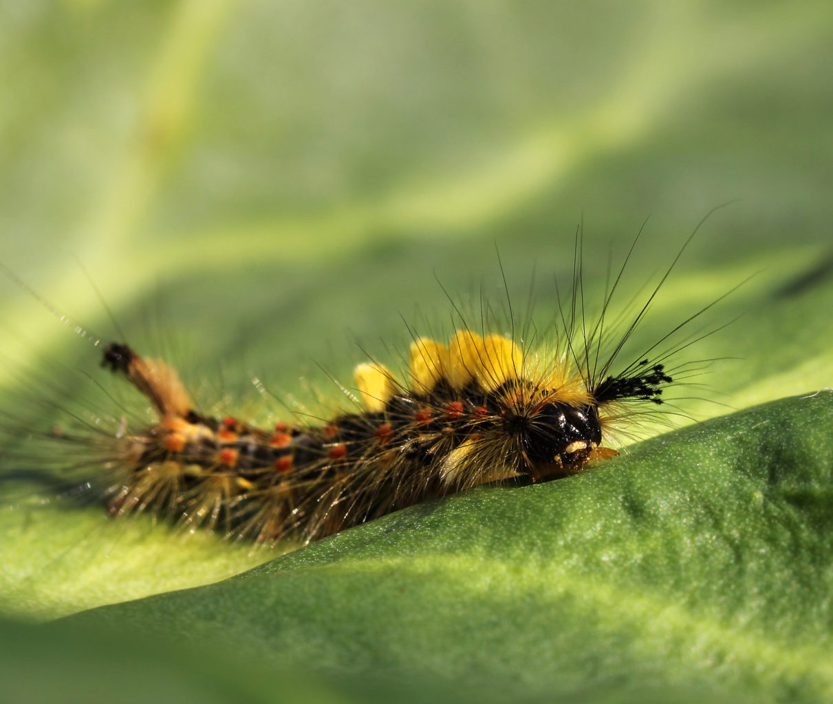 Valokuvaaja: Tarja Porkkala