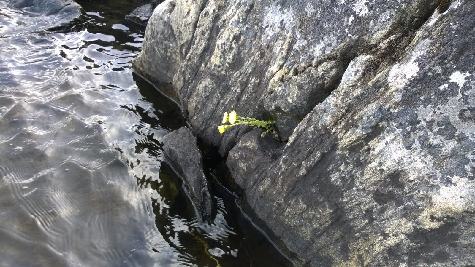 Valokuvaaja: Leena Sarell-Kankaanpää