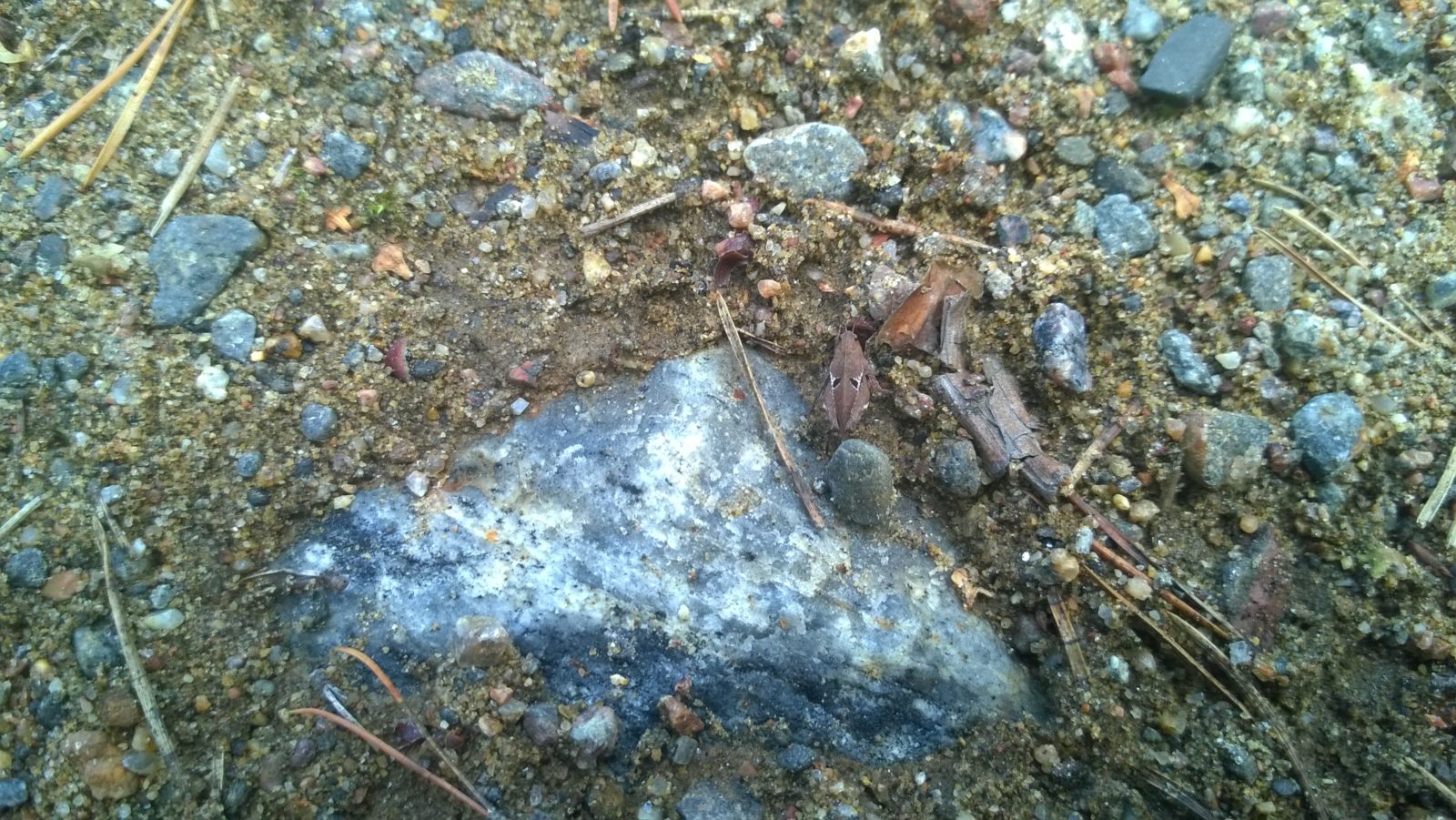 Valokuvaaja: Elina Junnila Valokuvaaja: Elina Junnila