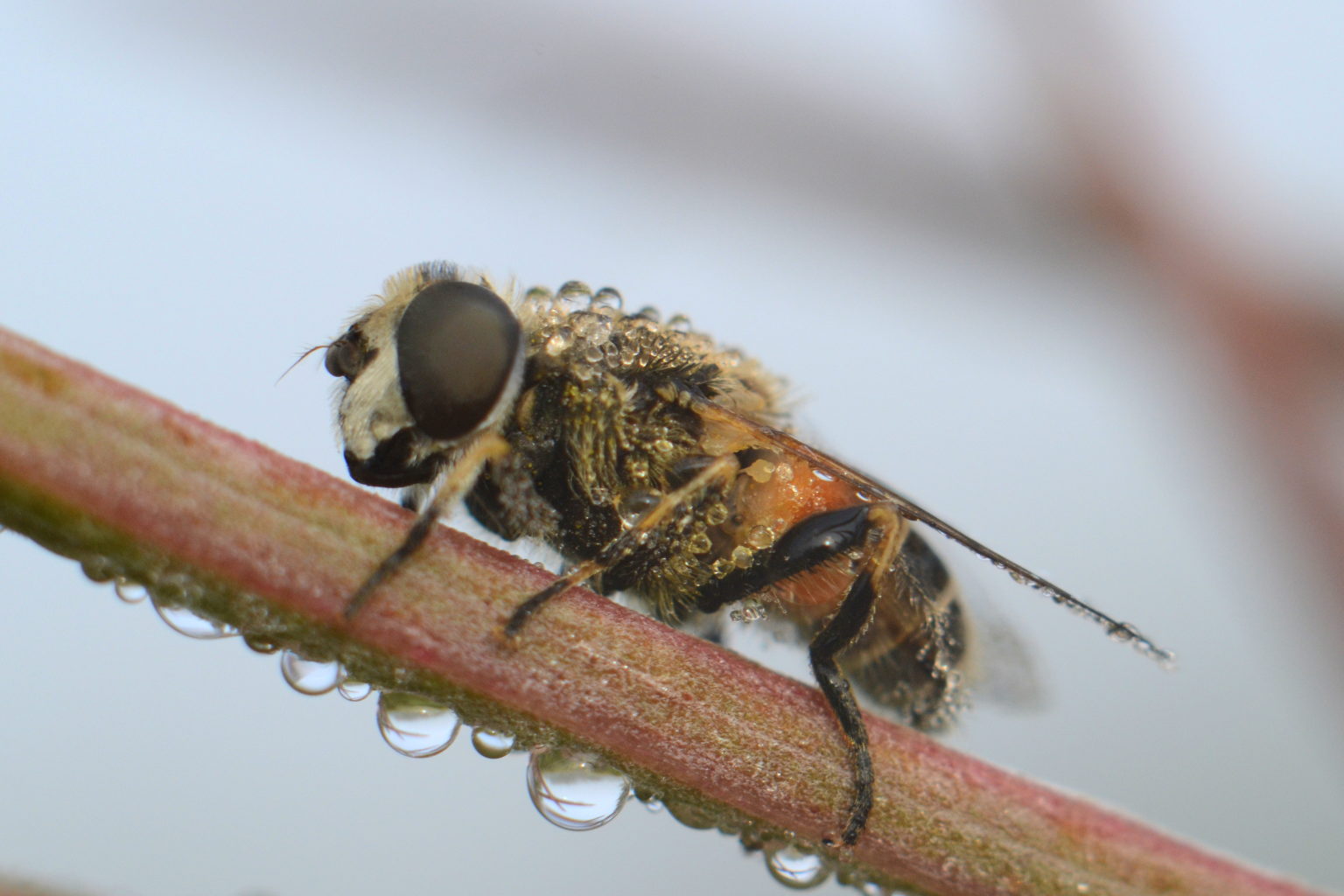 Valokuvaaja: Kalle Asikainen