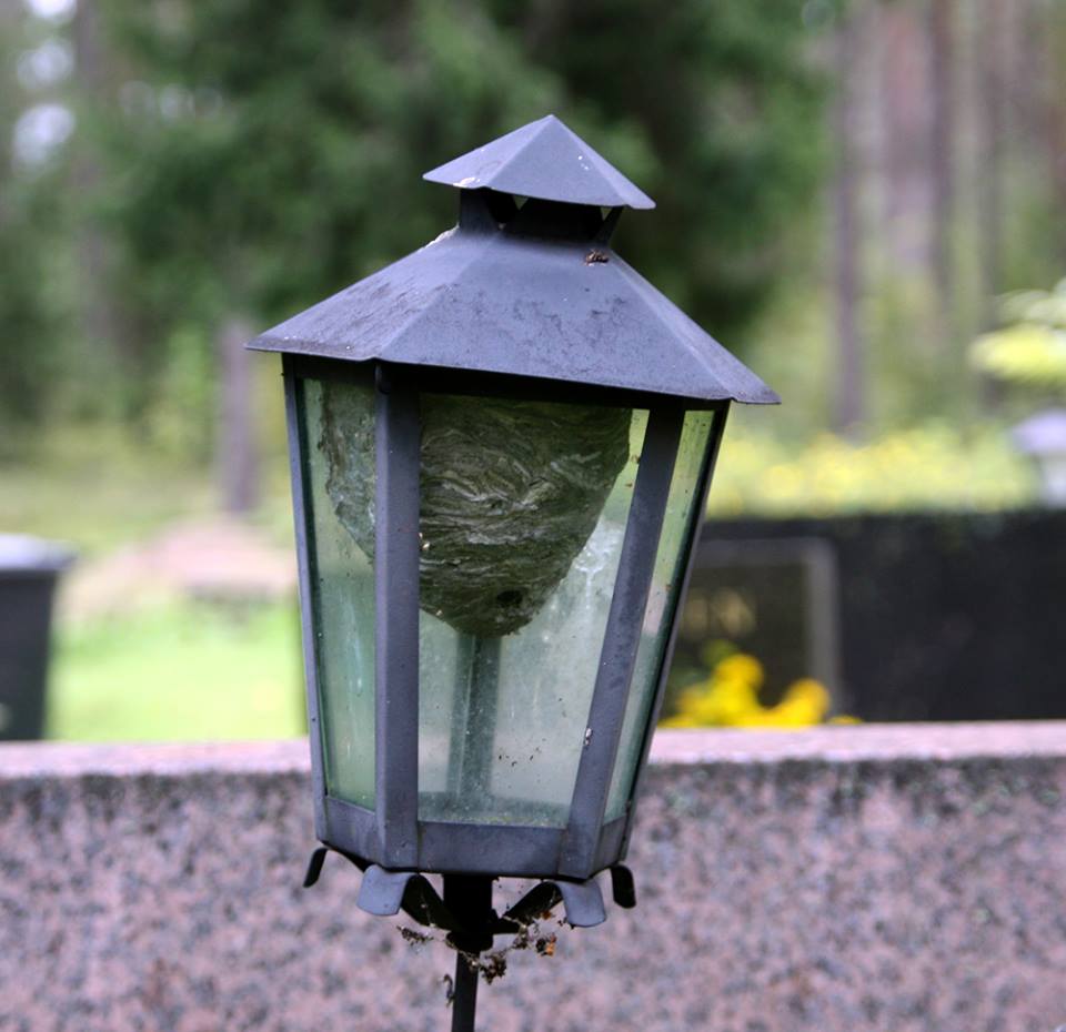 Valokuvaaja: Maarit Auvinen