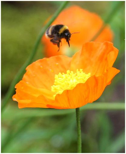 Valokuvaaja: Maarit Auvinen