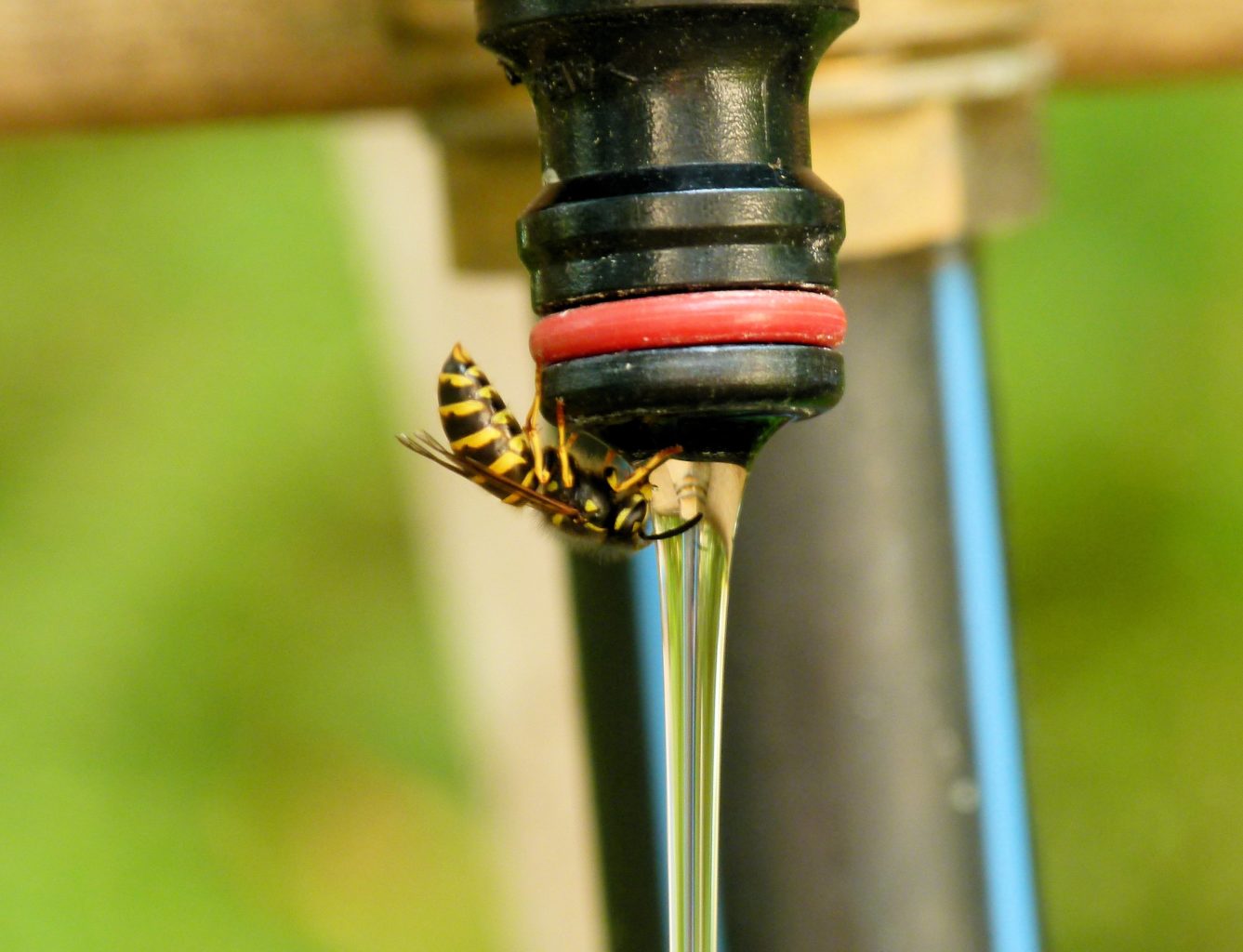 Valokuvaaja: Jaana Svahn