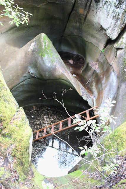 Valokuvaaja: Elina Perälä