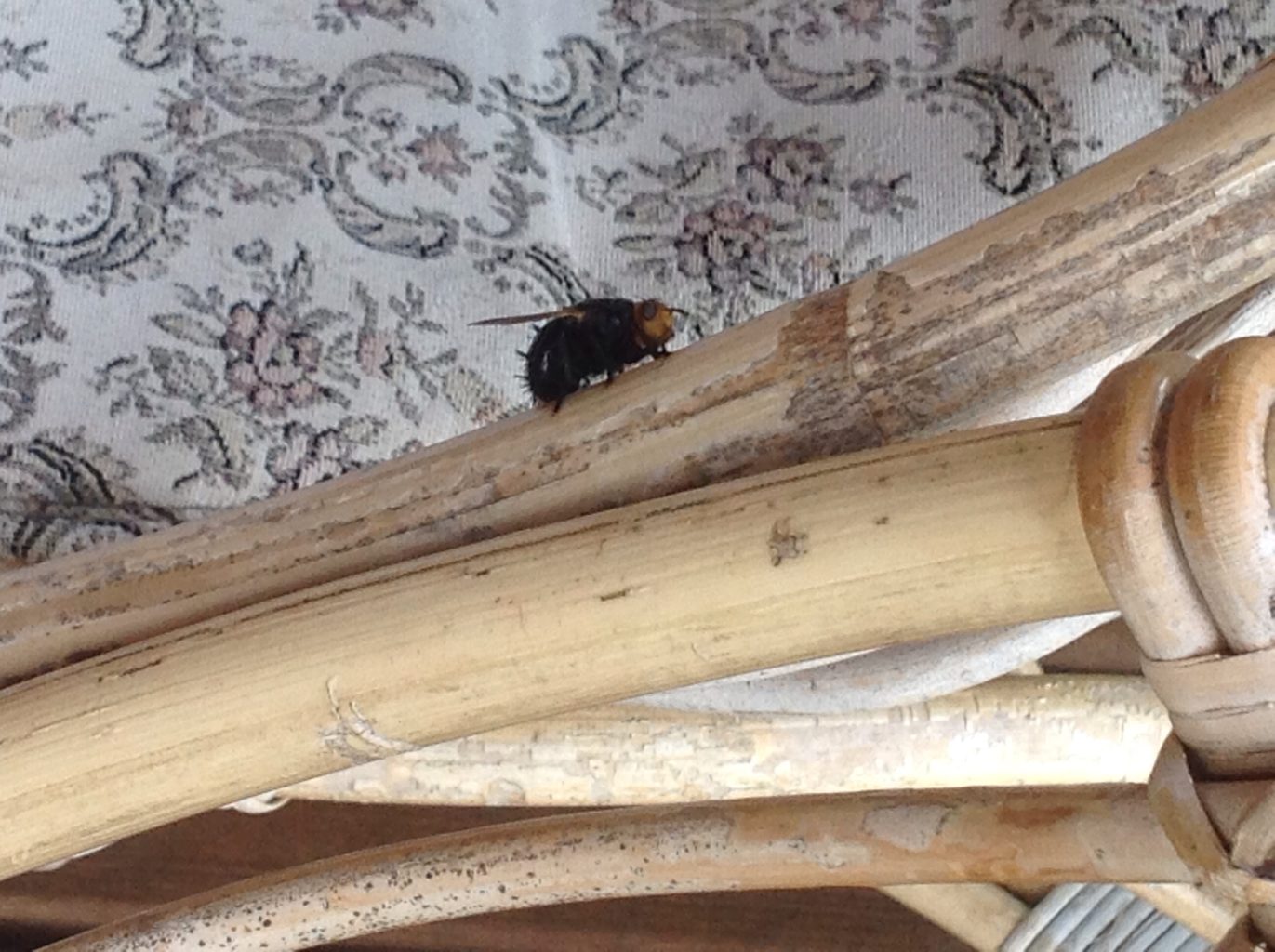 Valokuvaaja: Olli Uuskoski