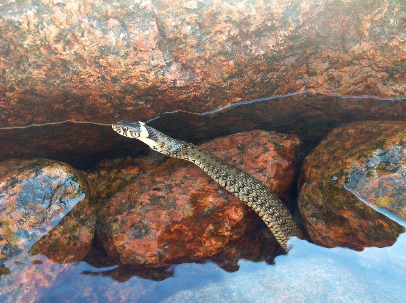 Valokuvaaja: Kimmo Autio