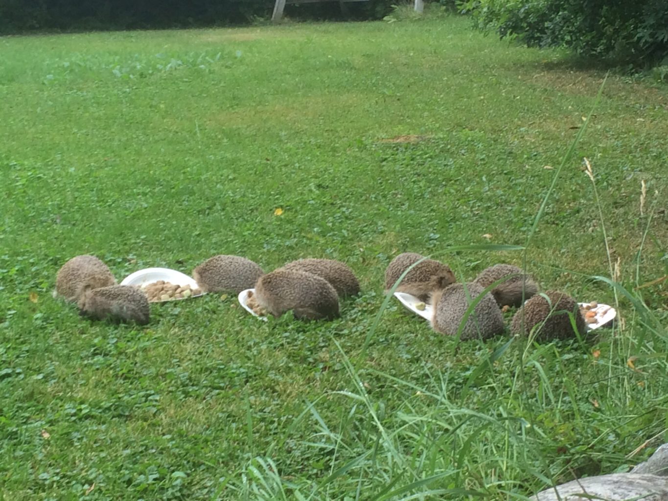 Valokuvaaja: Anne Ristola