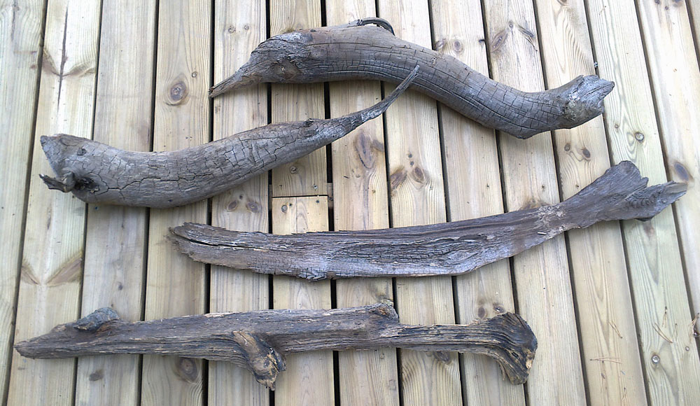 Valokuvaaja: Elina Lahti