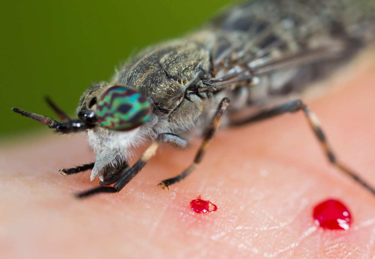 Valokuvaaja: Heikki Mahlamäki