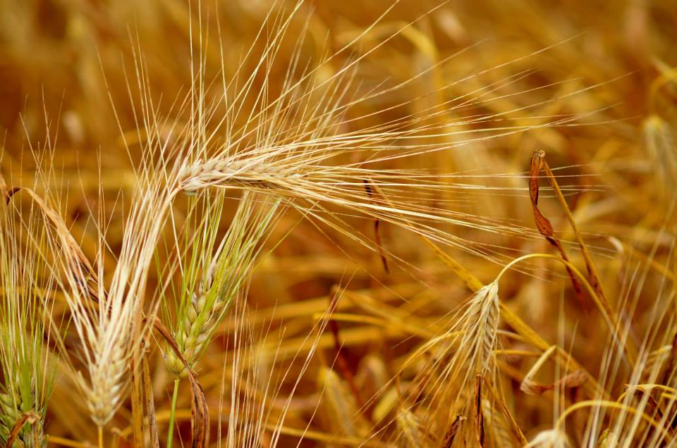 Valokuvaaja: Eija Varjola Valokuvaaja: Eija Varjola