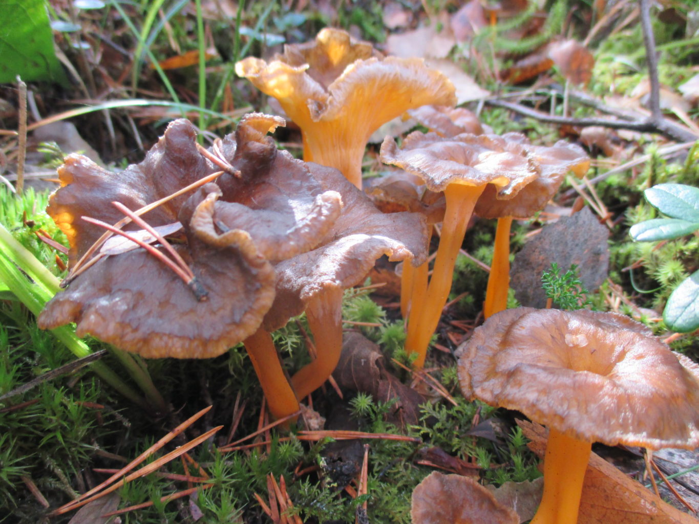 Valokuvaaja: yrjo lukkari