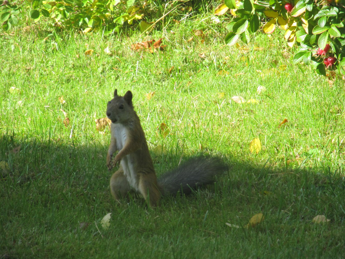 Valokuvaaja: Eija Hyvärinen