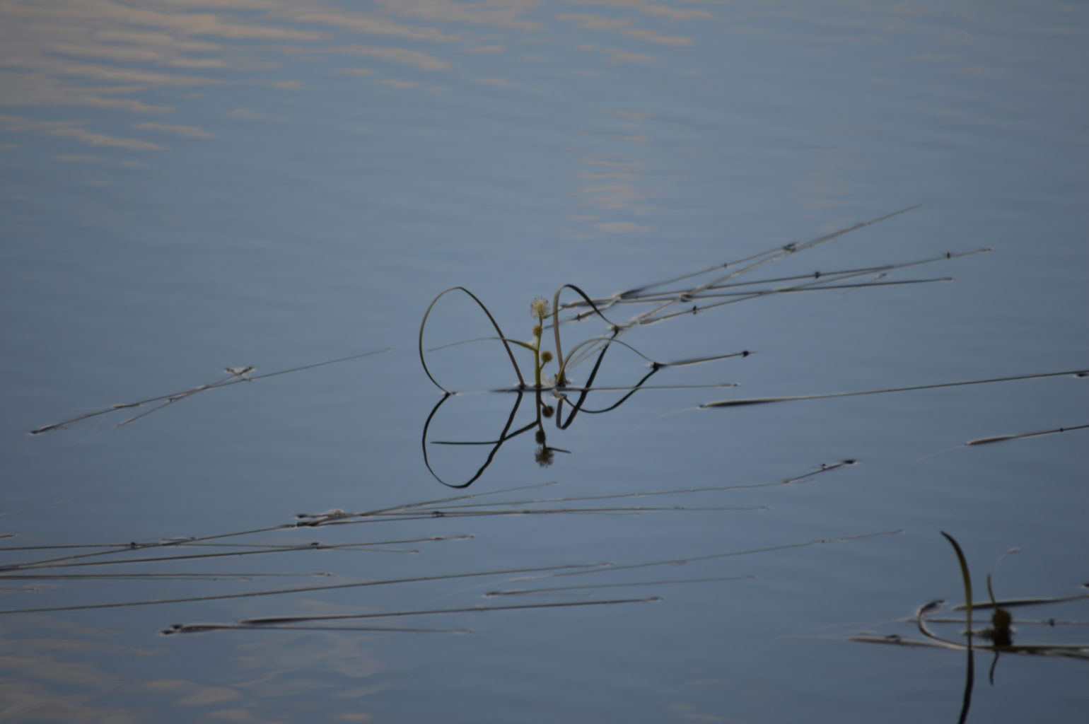 Valokuvaaja: Heli Heiniö Valokuvaaja: Heli Heiniö