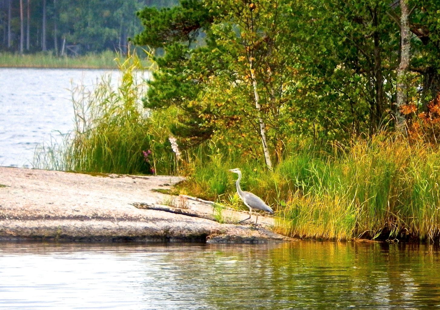 Valokuvaaja: Liisa Niiva-Korpela Valokuvaaja: Liisa Niiva-Korpela