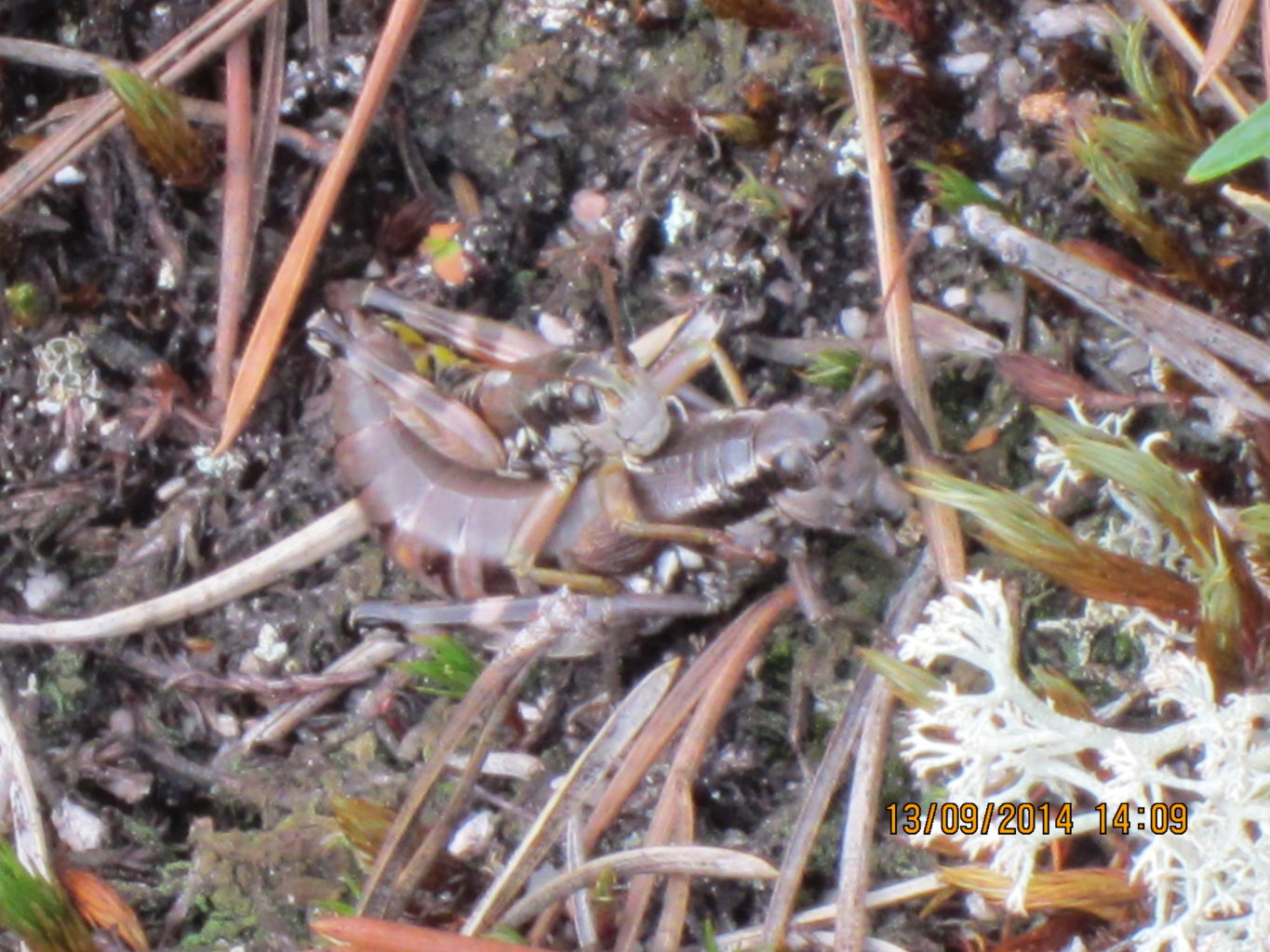 Valokuvaaja: Kirstimaria Sandholm