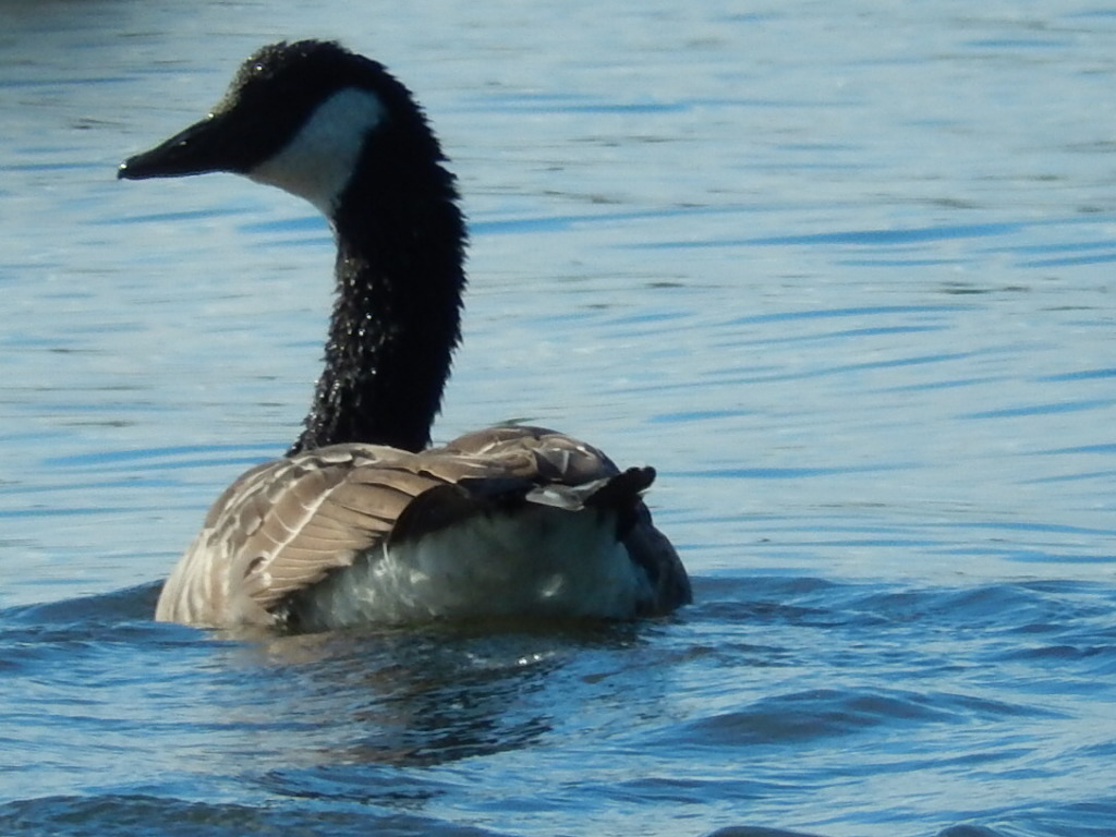 Valokuvaaja: Pirkko Siukonen