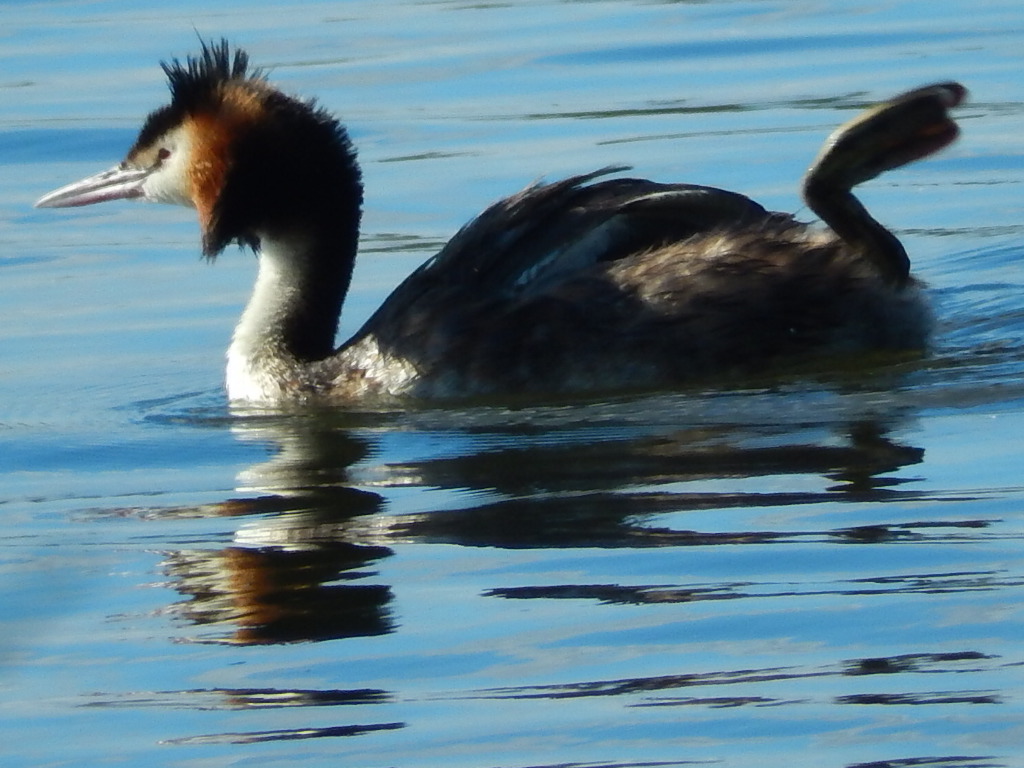 Valokuvaaja: Pirkko Siukonen