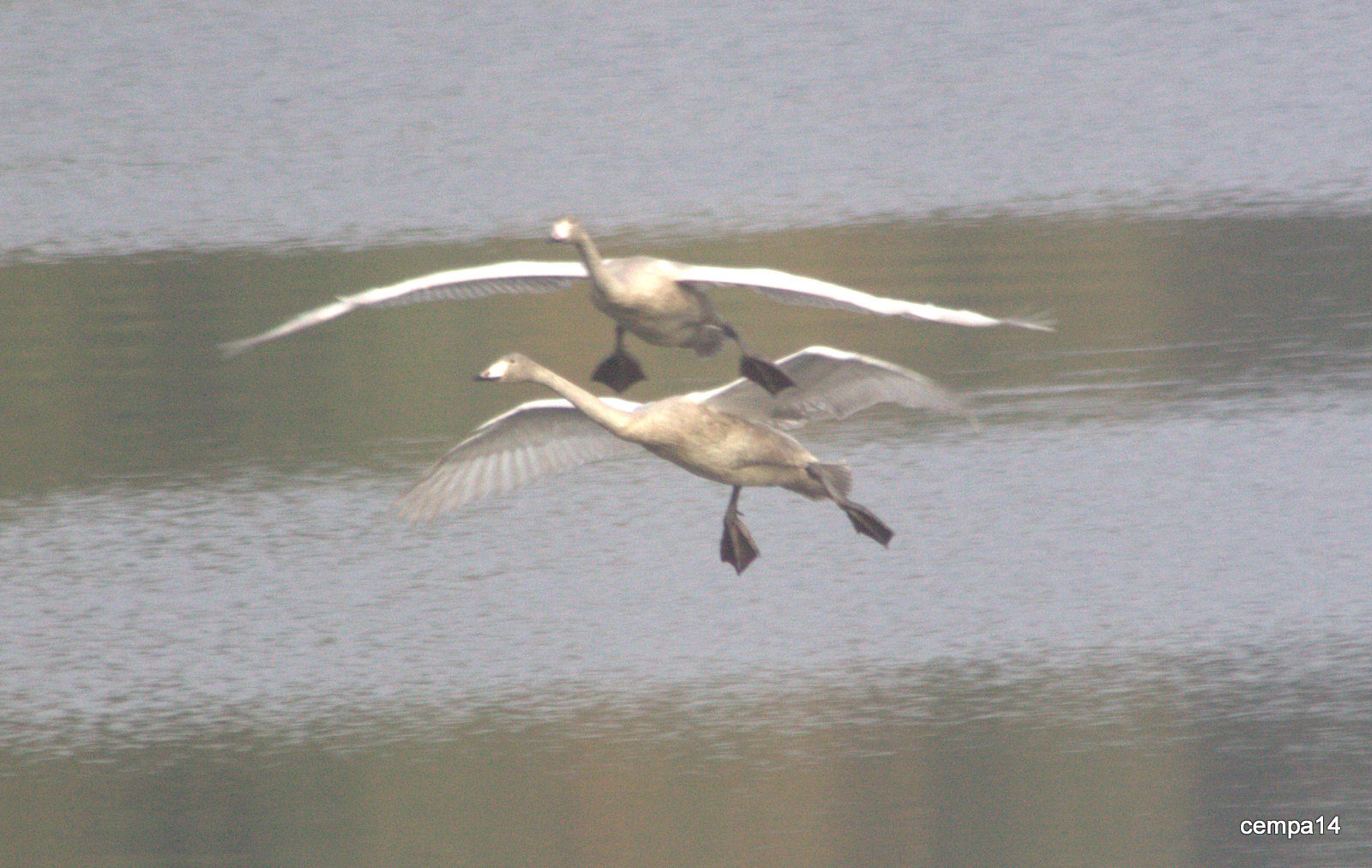 Valokuvaaja: tapio keinonen Valokuvaaja: tapio keinonen