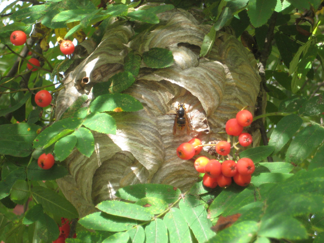 Valokuvaaja: Ulla Autio