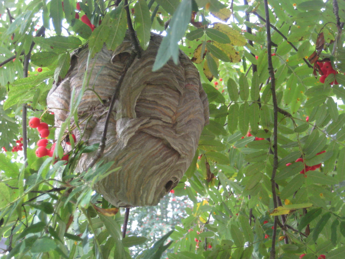 Valokuvaaja: Ulla Autio