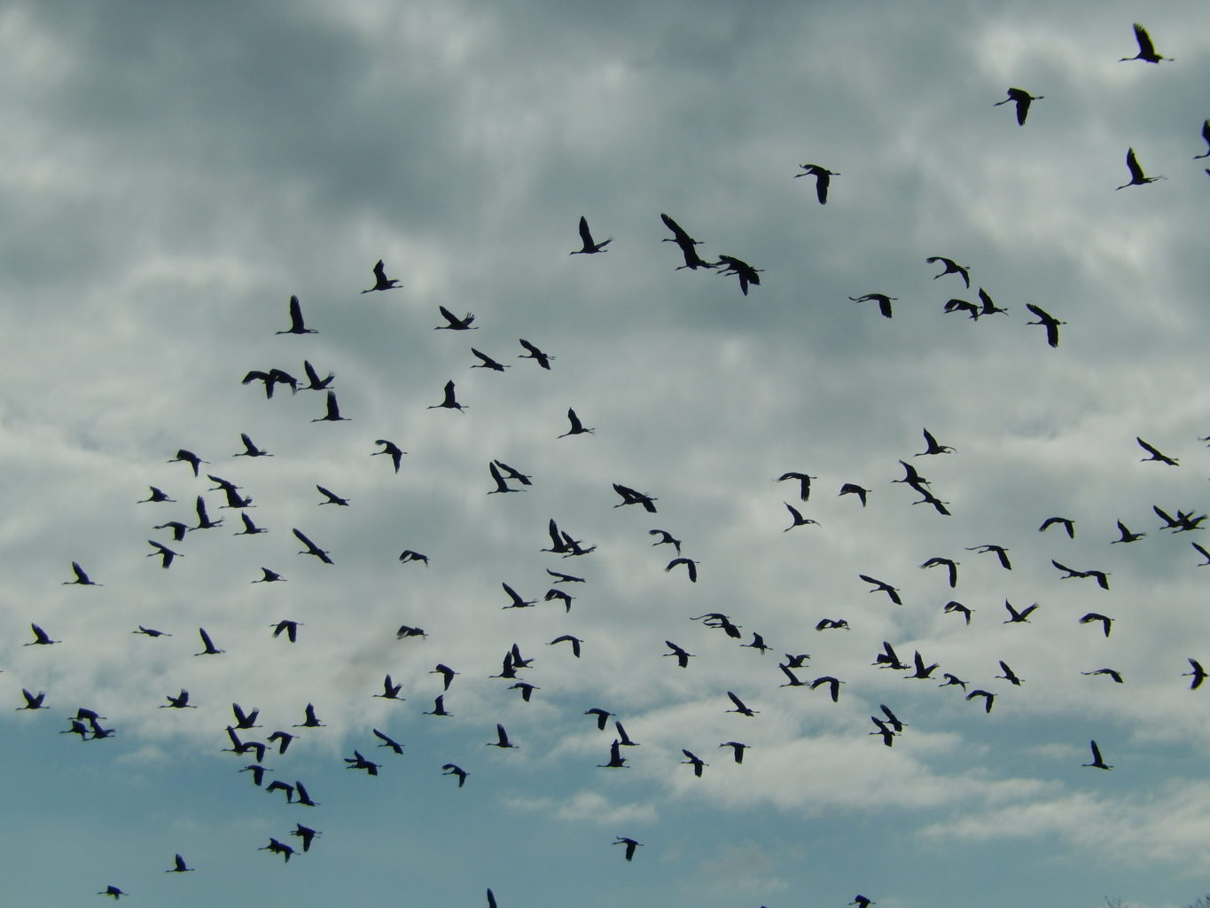 Valokuvaaja: Pirkko Siukonen