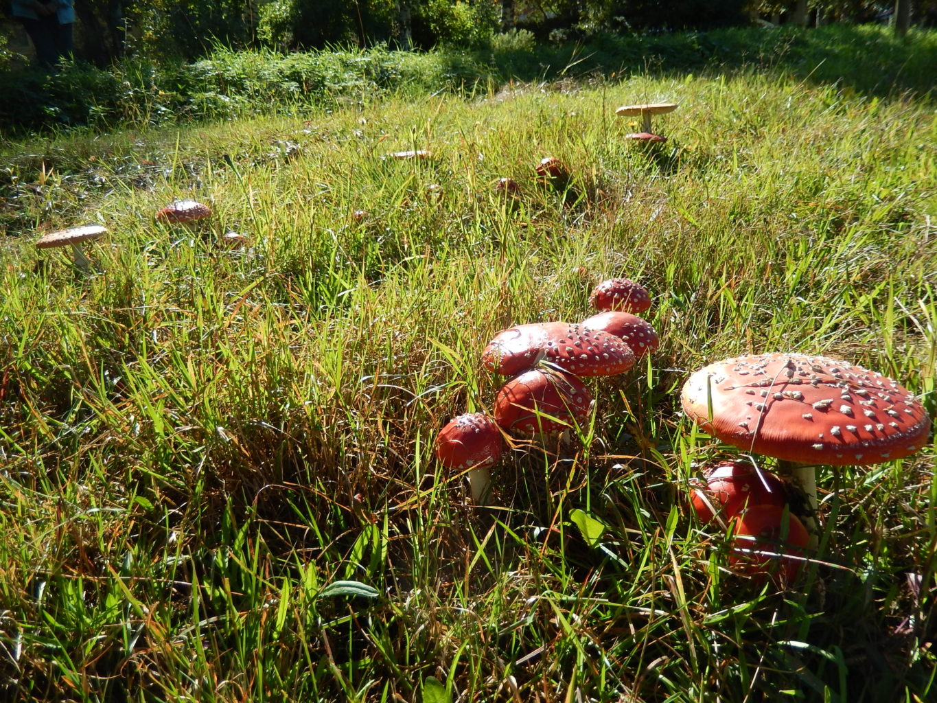 Valokuvaaja: Pirkko Siukonen Valokuvaaja: Pirkko Siukonen