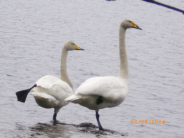 Valokuvaaja: Tarja Nenonen