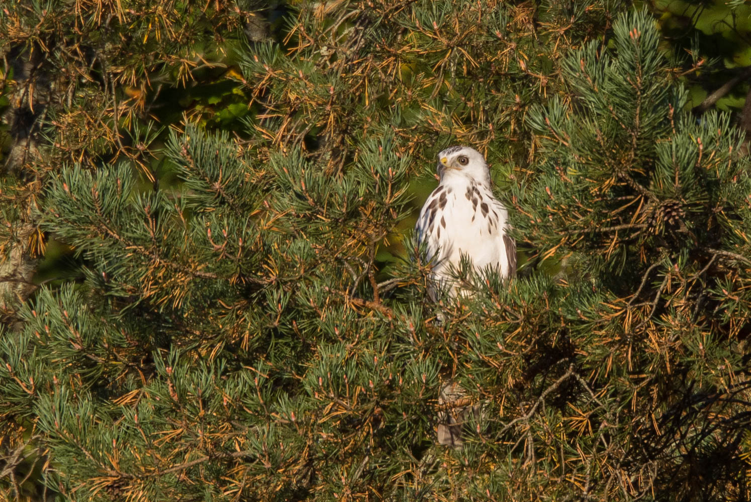 Valokuvaaja: Markku Salonen