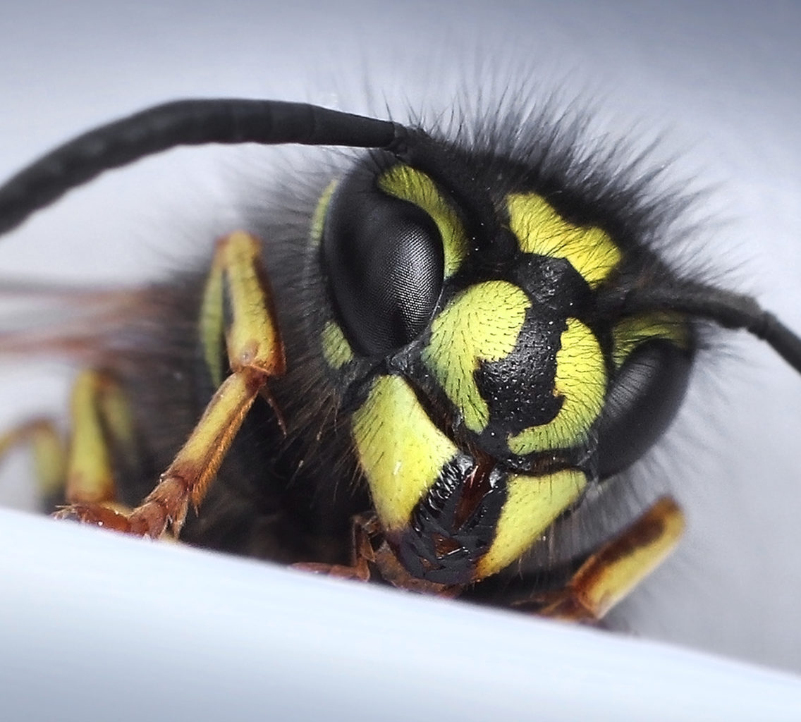 Valokuvaaja: Tarja Porkkala