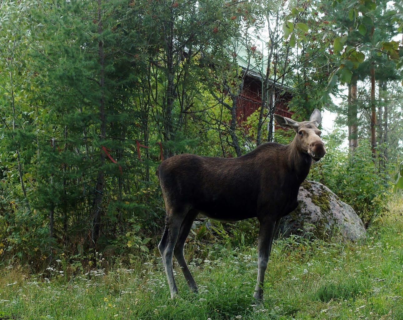 Valokuvaaja: Maarit Siitonen Valokuvaaja: Maarit Siitonen