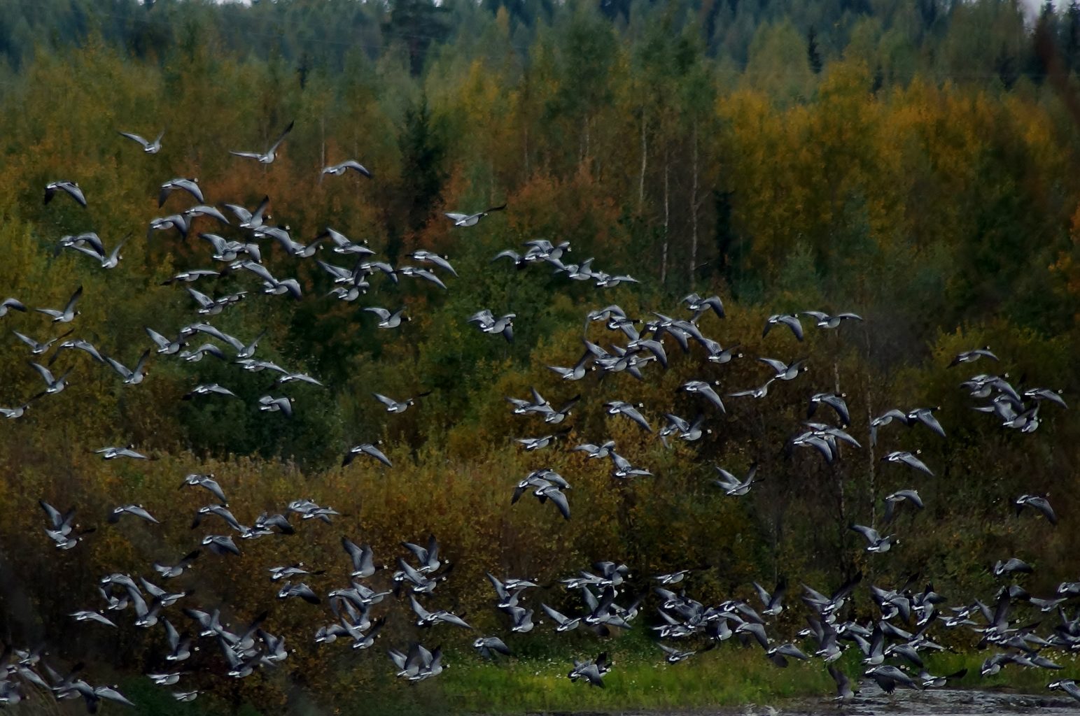 Valokuvaaja: Maarit Siitonen