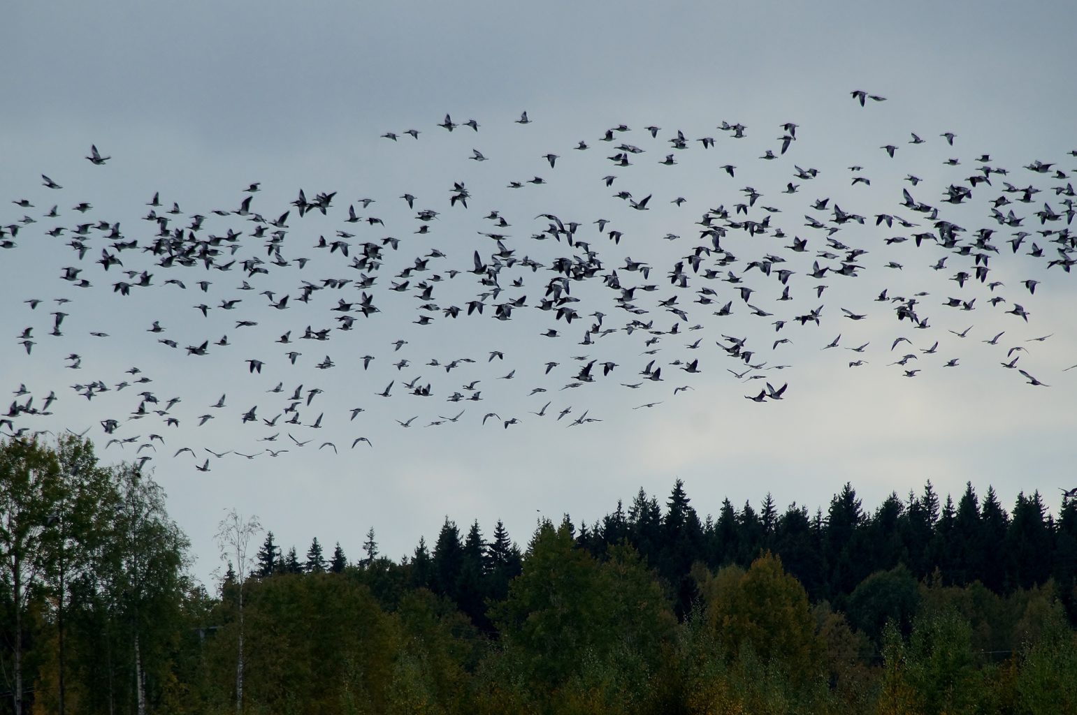 Valokuvaaja: Maarit Siitonen